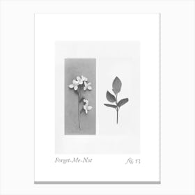 Forget Me Not Botanical Collage 3 Canvas Print