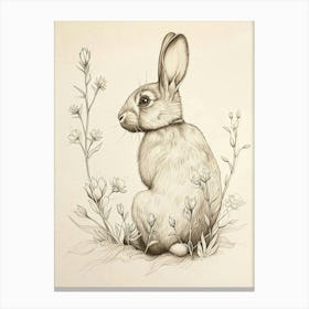 Cinnamon Rabbit Drawing 4 Canvas Print