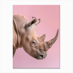 Rhinoceros 1 Canvas Print