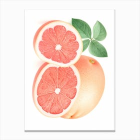 Grapefruit Canvas Print