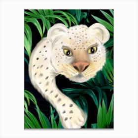 peek-a- boo white Leopard - colourful wall art for every room in the house Canvas Print