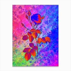 Provence Rose Botanical in Acid Neon Pink Green and Blue n.0204 Canvas Print
