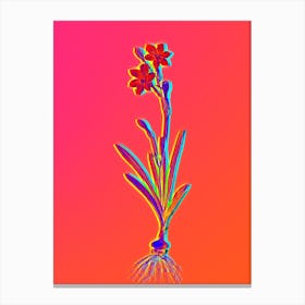 Neon Coppertips Botanical in Hot Pink and Electric Blue n.0530 Canvas Print