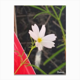 White Flower 2 Canvas Print