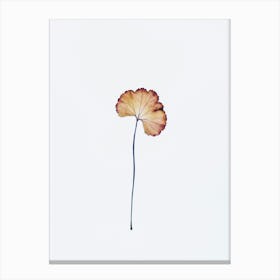 Ginkgo Leaf Canvas Print