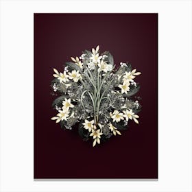 Vintage Narcissus Candidissimus Flower Wreath on Wine Red n.0200 Canvas Print