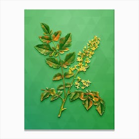 Vintage Golden Rain Tree Botanical Art on Classic Green n.0259 Canvas Print