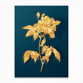 Vintage French Rosebush with Variegated Flowers Botanical in Gold on Teal Blue n.0340 Canvas Print