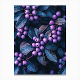 Lila Blaubeeren Fotografie, botanische violett Obst Design Canvas Print