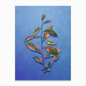 Vintage Grey Willow Botanical Art on Blue Perennial Canvas Print