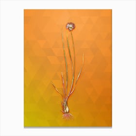 Vintage Allium Foliosum Botanical Art on Tangelo Canvas Print