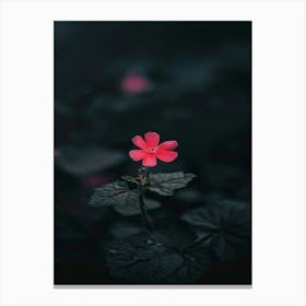 Geranium Flower 1 Canvas Print