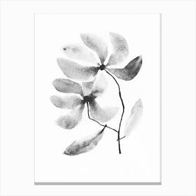 Black And White Flower Canvas Print