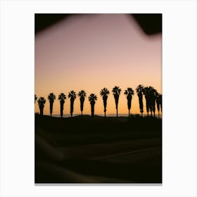 Palms of Portugal | Algarve Travel Photography Canvas Print