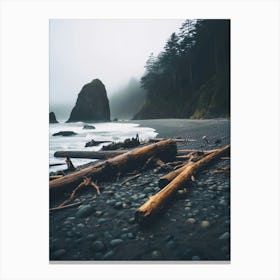 Beach Logs On A Foggy Day Canvas Print