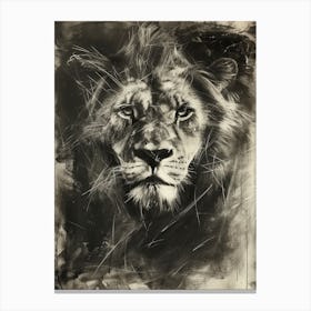 African Lion Charcoal Drawing Symbolic Imagery 3 Canvas Print