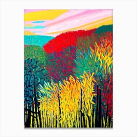 Everglades National Park United States Of America Abstract Colourful Canvas Print