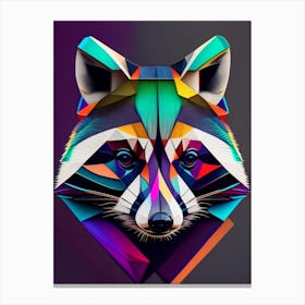 Cozumel Raccoon Modern Geometric 3 Canvas Print
