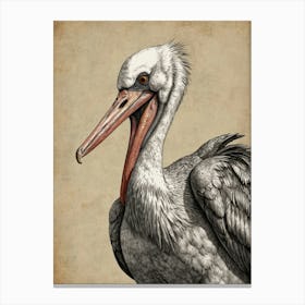 Pelican 12 Canvas Print