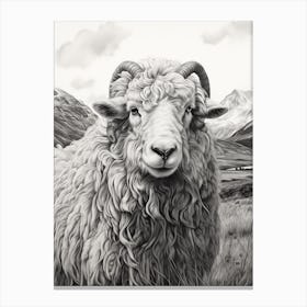Black & White Illustration Of Highland Sheep Canvas Print