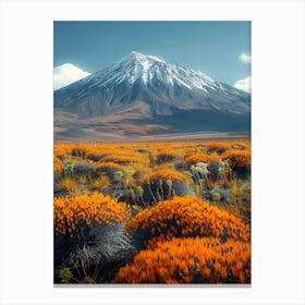 Chilean Desert Canvas Print