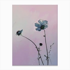 Cosmos 31 Canvas Print