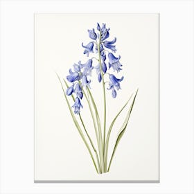 Bluebells Flower Vintage Botanical 3 Canvas Print