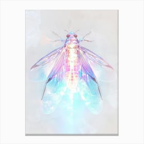 Psychedelic Fly Canvas Print