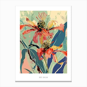 Colourful Flower Illustration Poster Bee Balm 4 Canvas Print