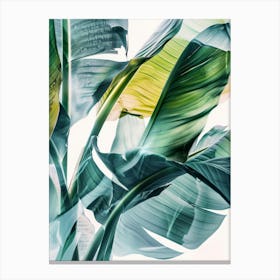 Banana Leaves 30 Canvas Print