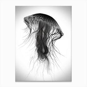 Jellyfish Canvas Print