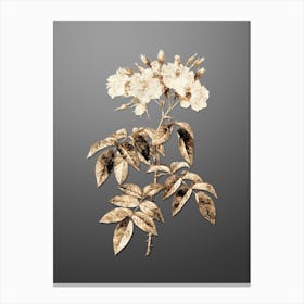 Gold Botanical Musk Rose on Soft Gray n.4290 Canvas Print