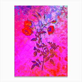 Red Rose Botanical in Acid Neon Pink Green and Blue n.0250 Canvas Print