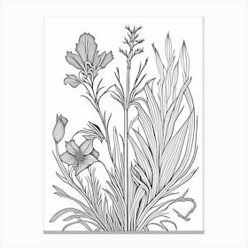 Orris Root Herb William Morris Inspired Line Drawing 1 Canvas Print