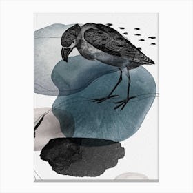Feathered Friends Bird Black & Navy Canvas Print