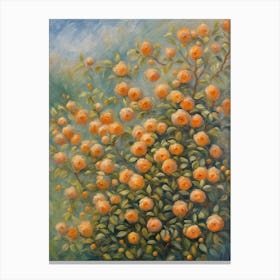 Orange Blossoms Canvas Print