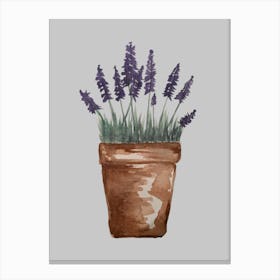 Garden Pot of Lavender Leinwandbilder