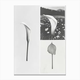 Calla Lilly Flower Photo Collage 1 Canvas Print
