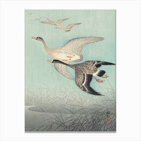 Great Geese In Flight (1925 1936), Ohara Koson Canvas Print