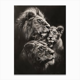 African Lion Charcoal Drawing Family Bonding 3 Canvas Print