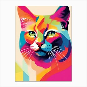 Colorful Cat 6 Canvas Print