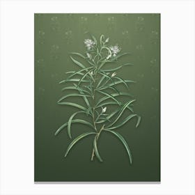 Vintage Narrow Leaf Spider Flower Botanical on Lunar Green Pattern n.0938 Canvas Print