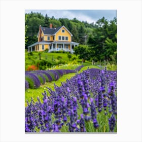 Lavender Field 22 Canvas Print