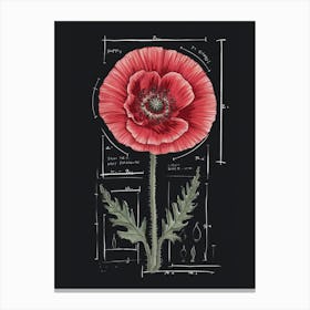 Poppy Flower Canvas Print