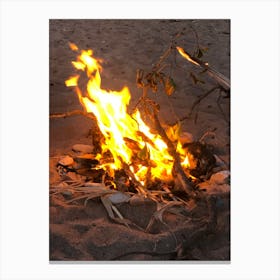 Campfire On The Beach Canvas Print