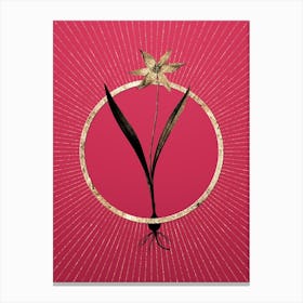 Gold Tulipa Celsiana Glitter Ring Botanical Art on Viva Magenta n.0189 Canvas Print