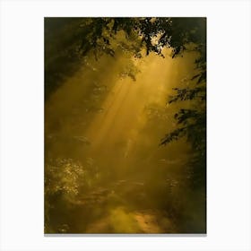 Sunbeams In The Forest 5 Canvas Print