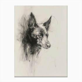 Swedish Vallhund Dog Charcoal Line Canvas Print