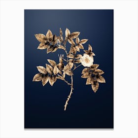 Gold Botanical Mountain Rose Bloom on Midnight Navy n.0909 Canvas Print