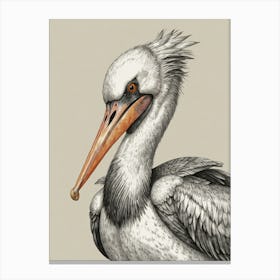 Pelican 14 Canvas Print